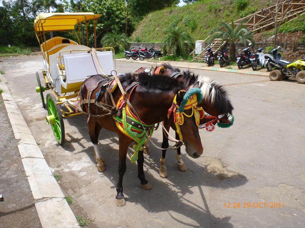 Homestay Triniti Lembang Esterno foto
